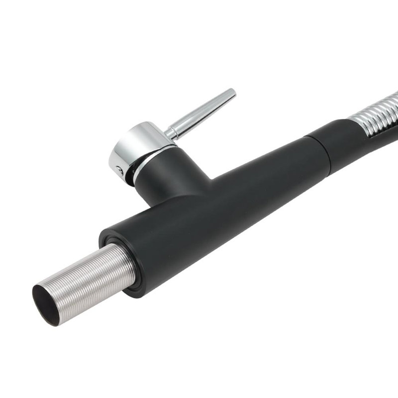 Belfry Kitchen Apollinaris Kitchen Faucet, Matte Black/Chrome