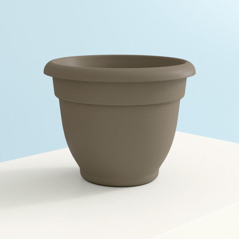  Ariana 13.75 in. H X 17.75 in. W X 16 in. D Plastic Traditional Planter Peppercorn, Peppercorn