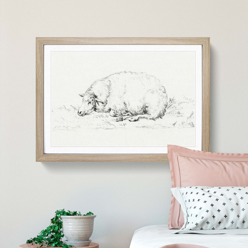 Resting Sheep by Jean Bernard - Picture Frame Drawing Print on MDF, Oak Framed, 27cm H x 36cm W x 2cm D