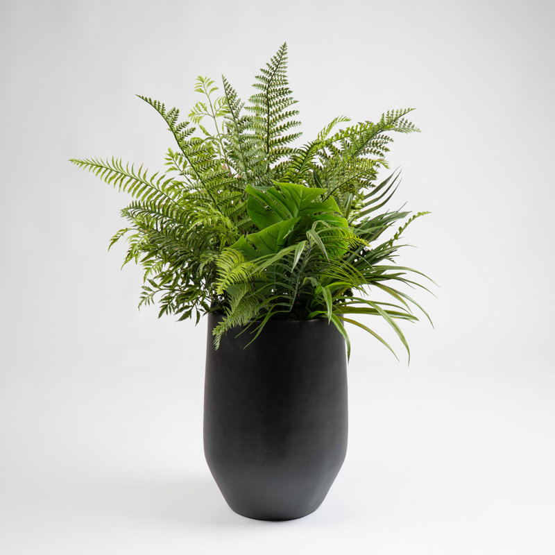 Antavia Faux Foliage Plant in Cement Pot, Black