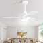 Ventilateur de plafond en bois massif 48 pouces avec moteur à courant continu réversible à intensité variable 6 vitesses-576616543-576616480