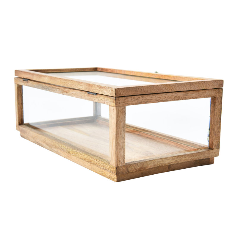 Natural Mango Wood and Glass Display Box with Lid
