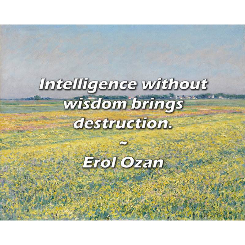 Artsy Quote "Intelligence without wisdom brings destruction." By Erol Ozan Gallery Wrapped Canvas, 28" H x 40" W