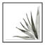 Agave I Print by Jess Engle-48615483-48615485