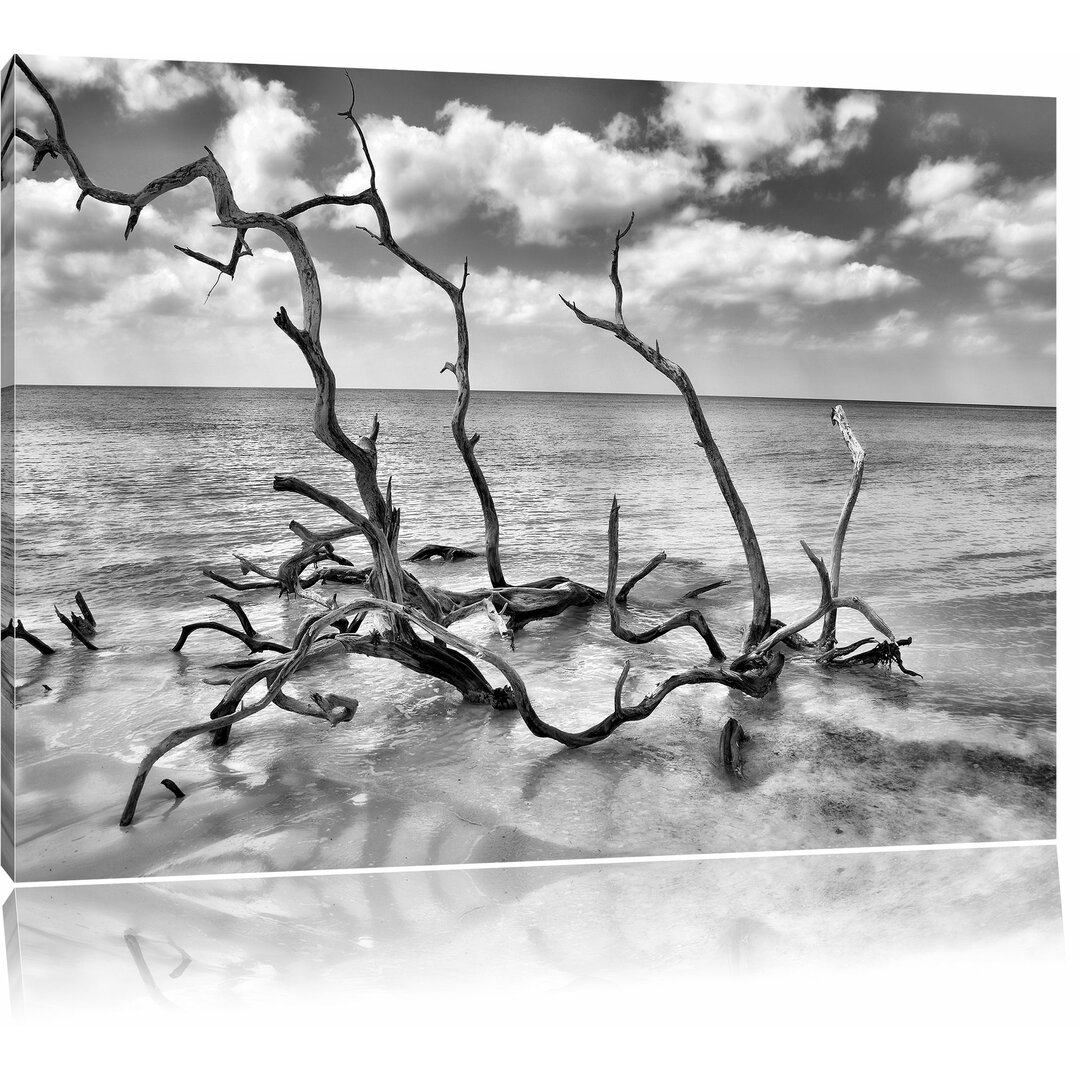 Leinwandbild Strand Meer Havanna Kuba in Monochrom