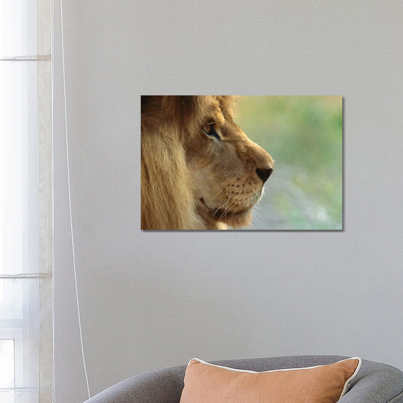 African Lion Male Portrait by ZSSD - Wrapped Canvas Print