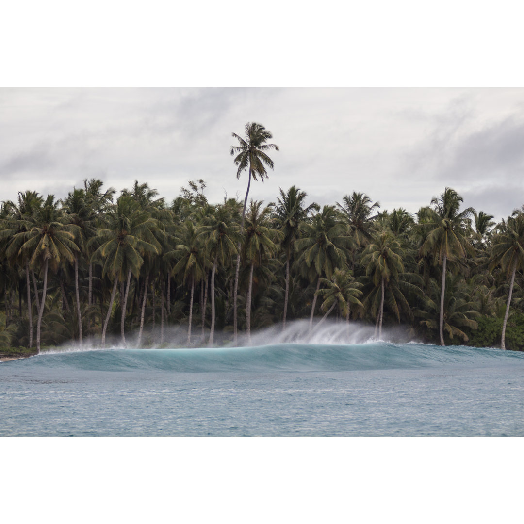 Wave Breaking With Palm Tree von Bingokid - Leinwanddrucke