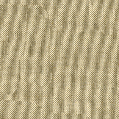 Perfect Plains Fabric
