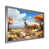Silver Single Picture Framed
