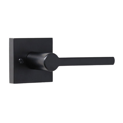 Levier de porte avec rosette Brady