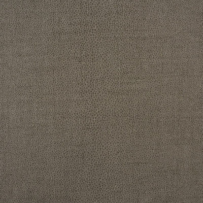 Gloss Shagreen Fabric