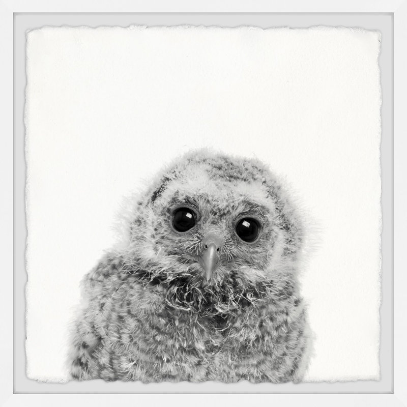 "Les grands yeux" par Schnider - Reproduction de photo sur papier encadrée, H 24 po x l 24 po