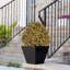 Topiaire artificielle 24 po 24 po-27040630