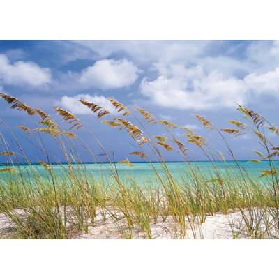 Vela National Geographic 2.54m x 3.68m Wall Mural
