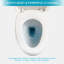 Ceramic One Piece Toilet,Dual Flush With Soft Clsoing Seat