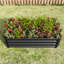 Jardinière en métal surélevée de 421 pi pour plantes et herbes, noir, lit de jardin durable, fleurs rectangulaires, plantes, légumes antirouille, facile à assembler-904666373-904666372