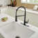 Pull Down Single Handle Kitchen Faucet with Accessories