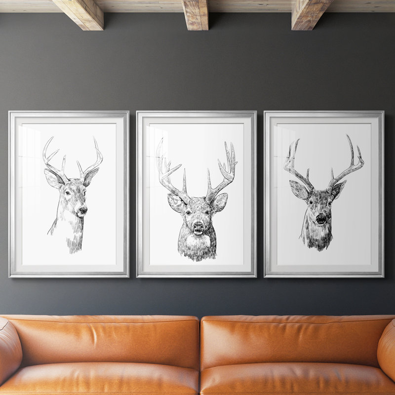 Young Buck S croquis I - reproduction sur mesure encadrée de qualité supérieure - 3 pièces, Argent argent, H 19 po x l 27 po