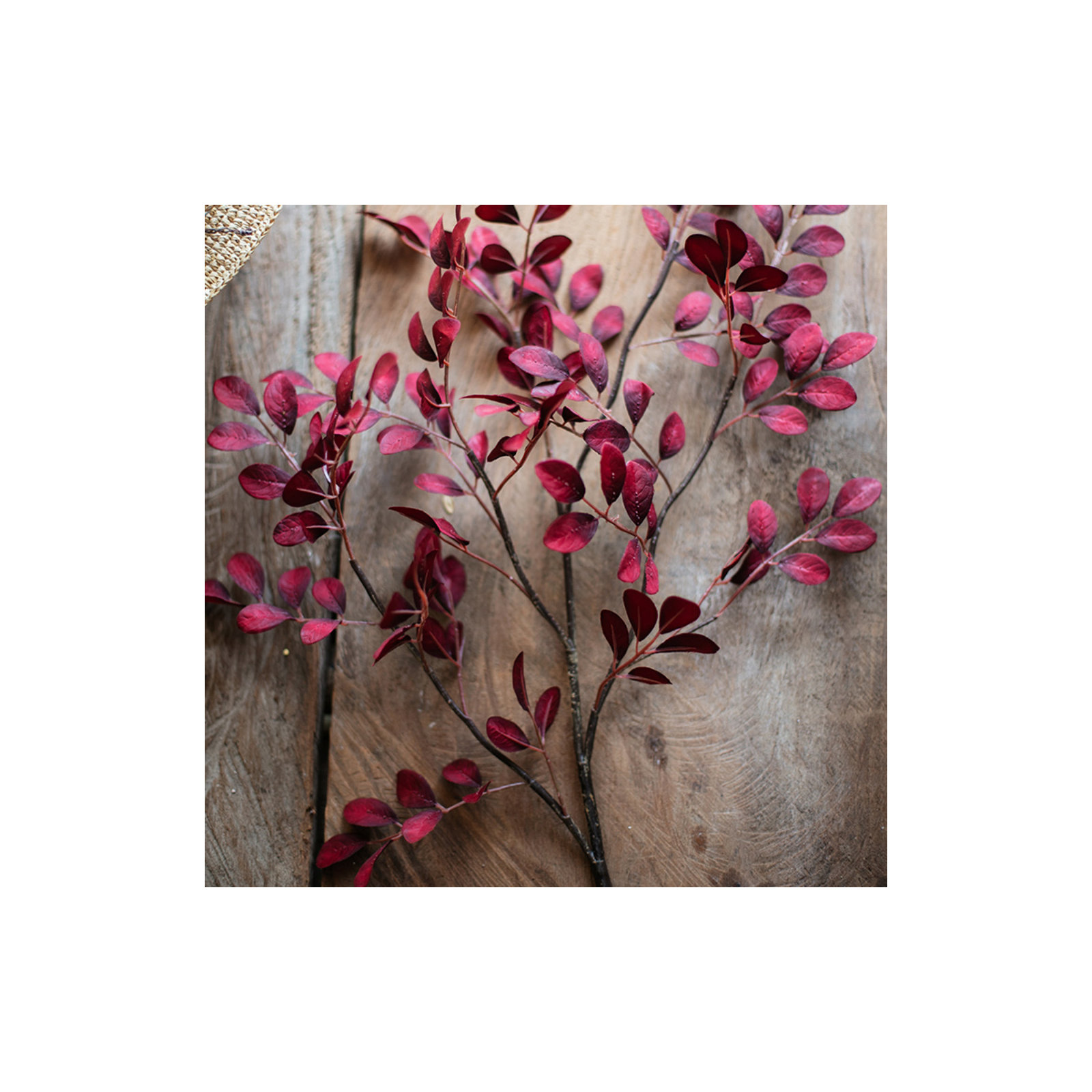 TzuTan Stems, One Stem