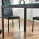 Reiner Glass Top Metal Base Dining Table