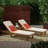 Muir Outdoor Acacia Wood Chaise Lounge , Cushion Included-457683681