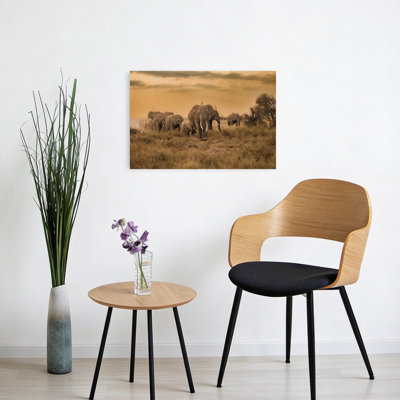 African Safari Elephants Contemporary Bird Wall Art Print