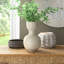 Beira 11.5'' Stoneware Table Vase