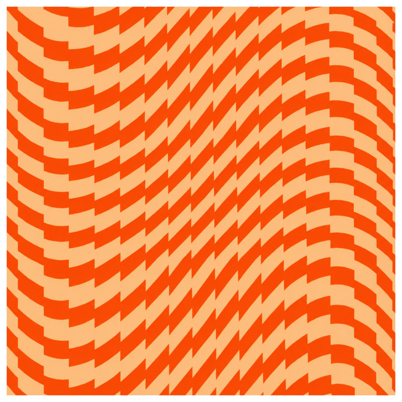 Tapis de bain orange orange à illusion optique, 24in W x 17in L