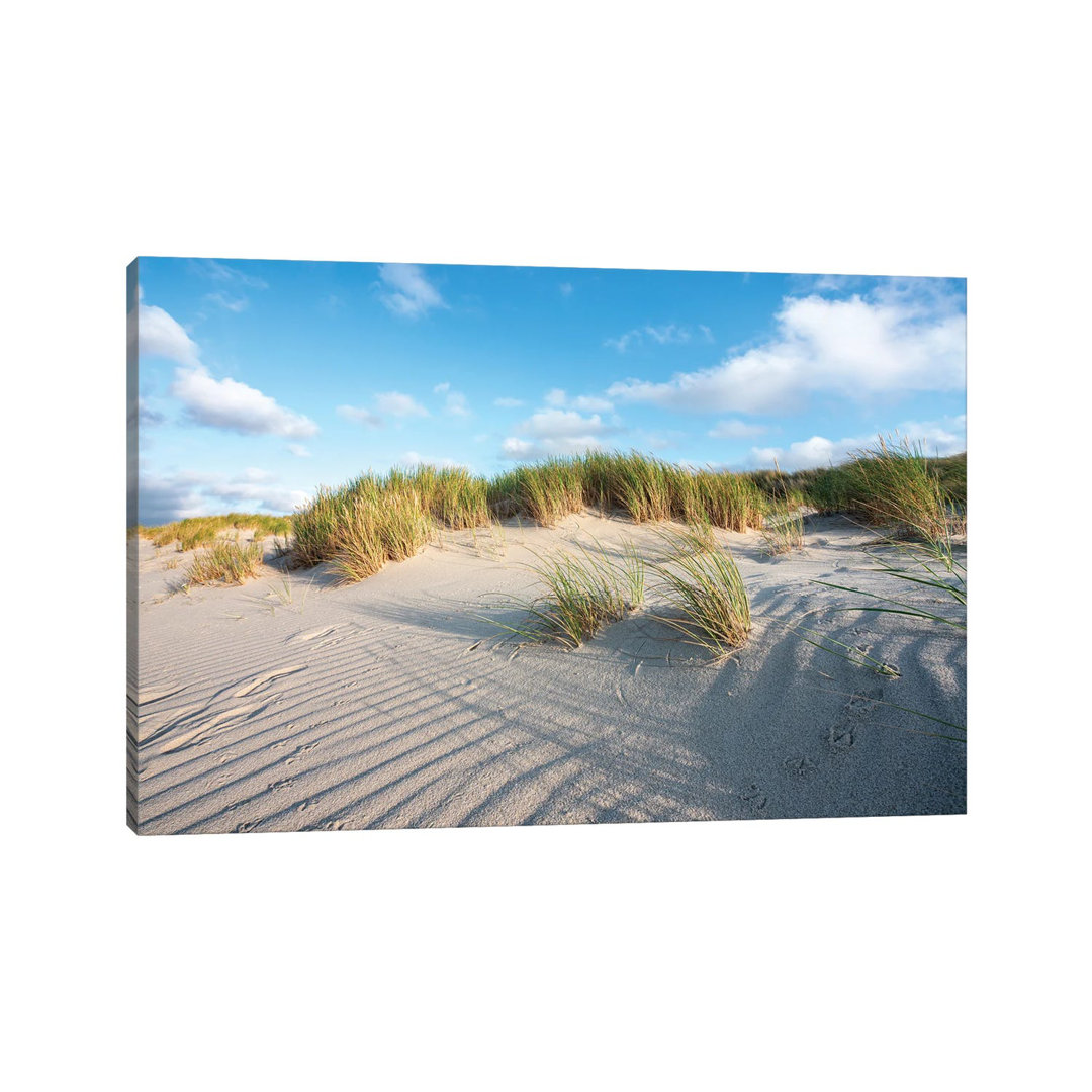 Sand Dunes Near The North Sea Coast