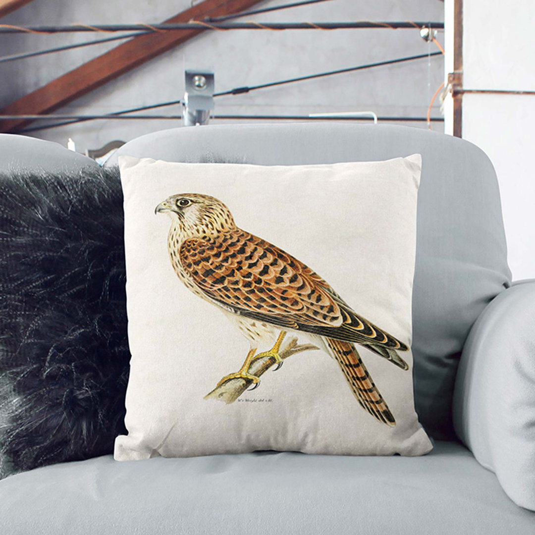 A Common Kestrel by Von Wright Cushion with Filling