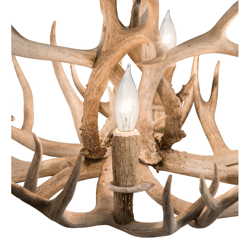 Lustre fantaisie 4 lumières panache mule Deer