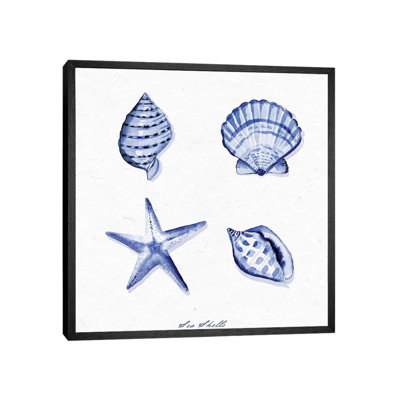 Shell Collection IV 1 Piece Painting on Canvas