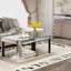 Table basse à miroir à 2 niveaux avec bords arrondis et rangement ouvert Modern Glam