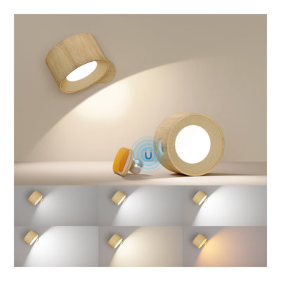 Samauri Battery Powered Armed Sconce