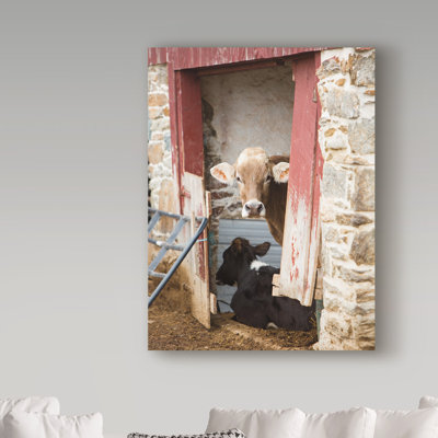« vaches reposer », reproduction de photo sur toile tendue