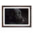 Walnut Framed selected