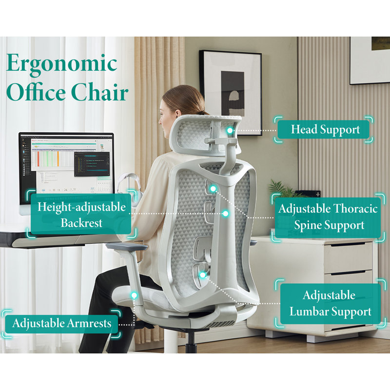 Brayden Studio Office Chair, Grey, Blue