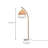 Tomecka 63 " Arched Floor Lamp