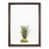 Walnut Framed selected