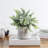 8.9'' Faux Eucalyptus Plant in Cement Pot