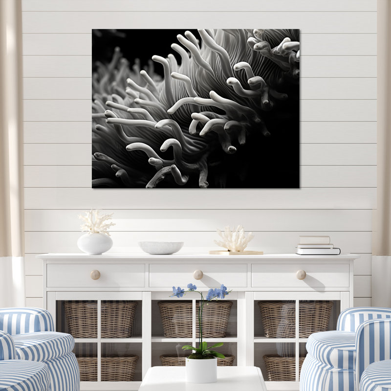 «Black and White Anemoner Color I», reproduction d'art sur toile, H 24 po x l 32 po, Toile tendue