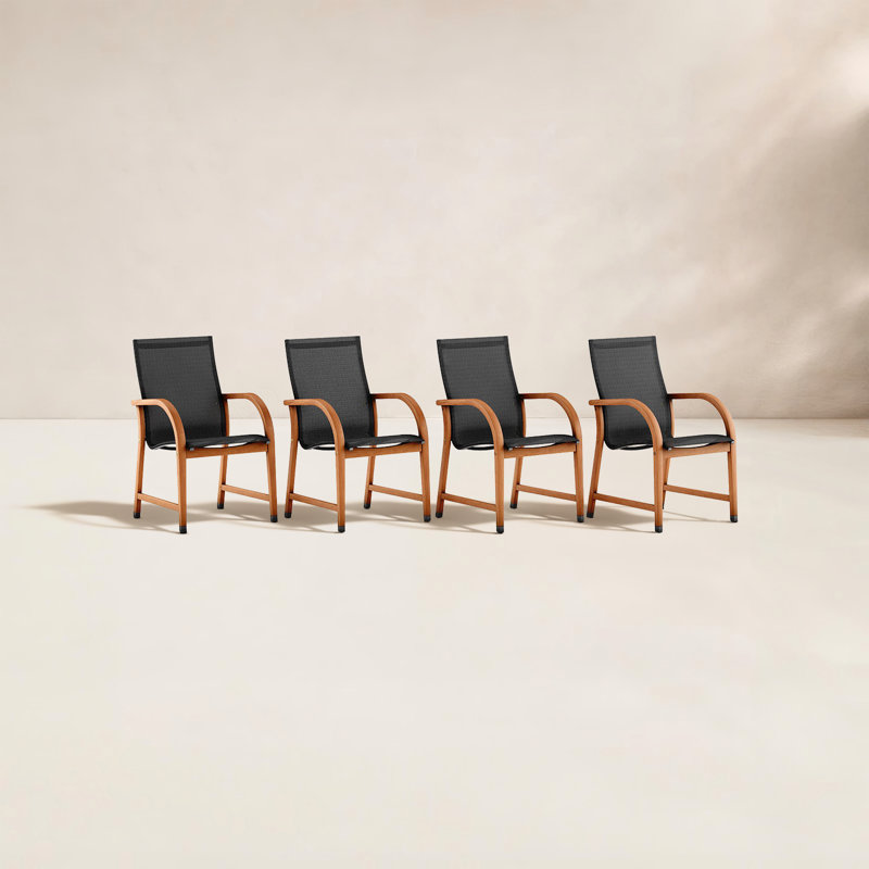 Chaise de patio moderne en bois Alyisa, Noir