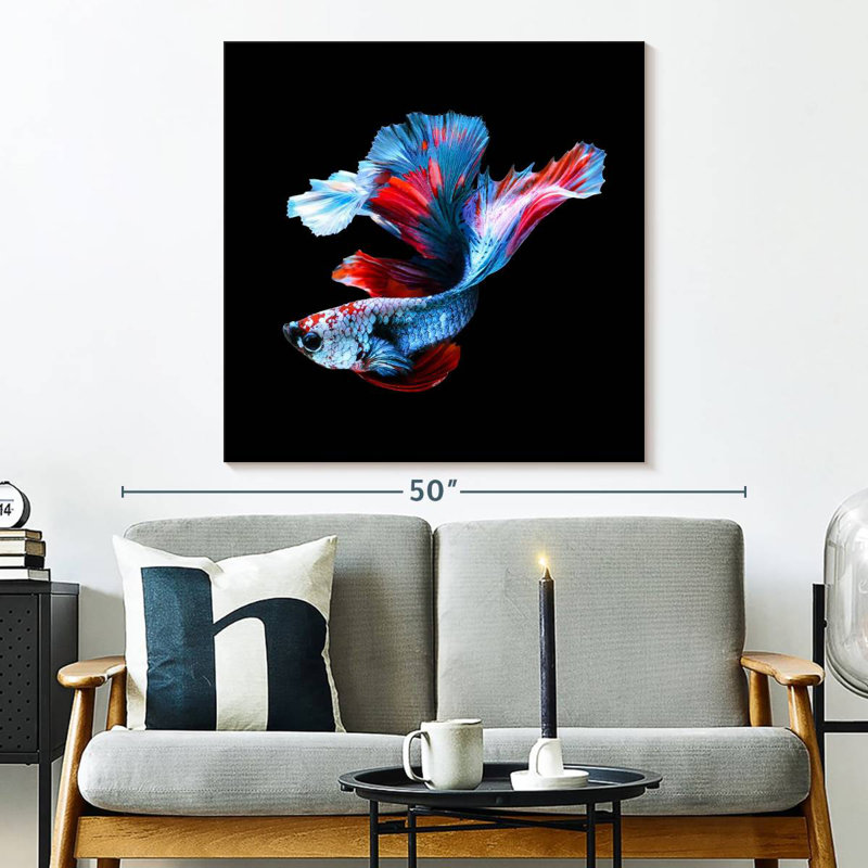 Brampt Elegant Betta Fish, 33" H x 33" W