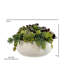 12" Succulent Arrangement