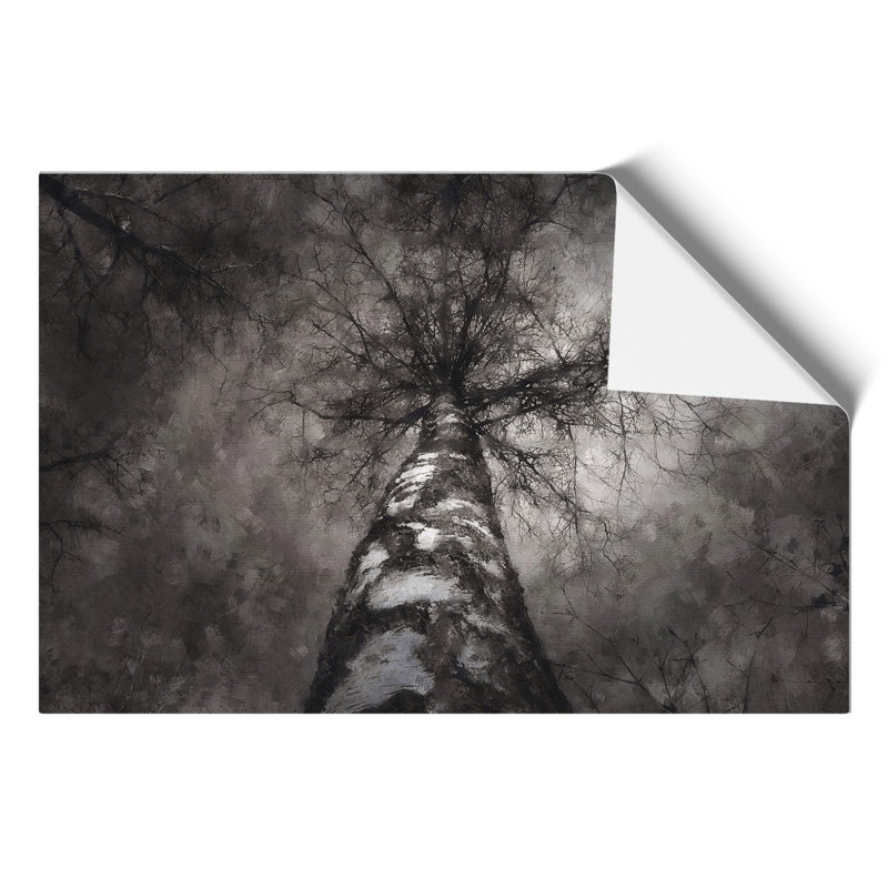 Birch Tree - No Frame Painting, 42cm H x 59cm W x 0.1cm D
