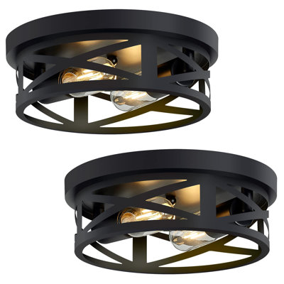 Plafonnier encastré 2 lumières Craspedia