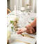 Verres Gold Rocher Coupe