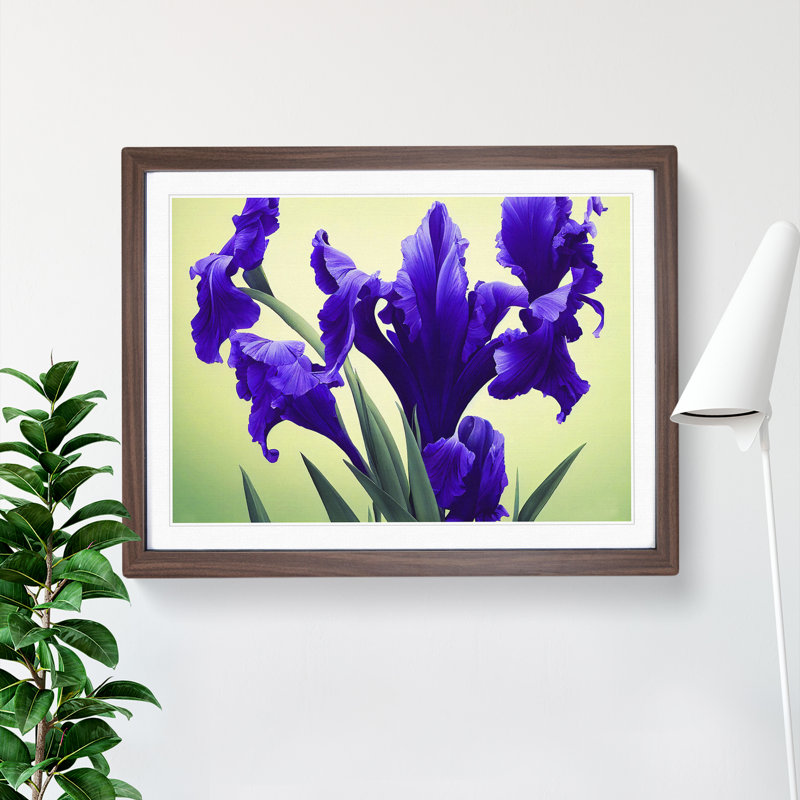 Evolving Iris Flowers - Framed Print, 25cm H x 34cm W x 2cm D, Walnut