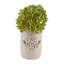 Vase Leonida en grès et céramique à motif floral 3D ivoire brun clair décontracté de 8 pouces pour le salon, la chambre et le bureau