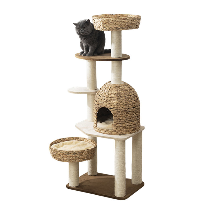 Structure d'escalade simple en bois, H 51,2 po x l 21,3 po x P 15,7 po 